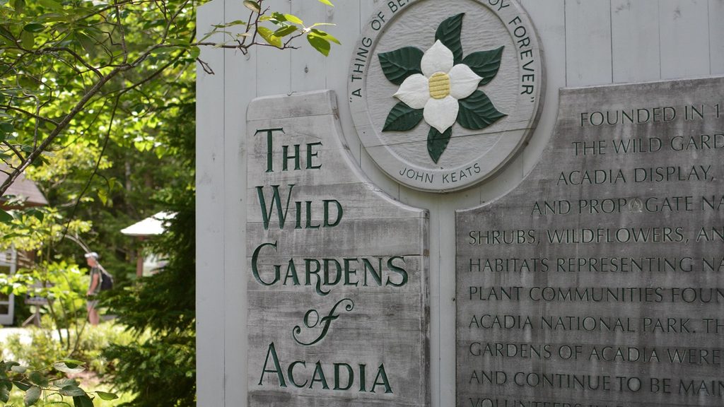 Wild Gardens of Acadia Loop, Acadia National Park