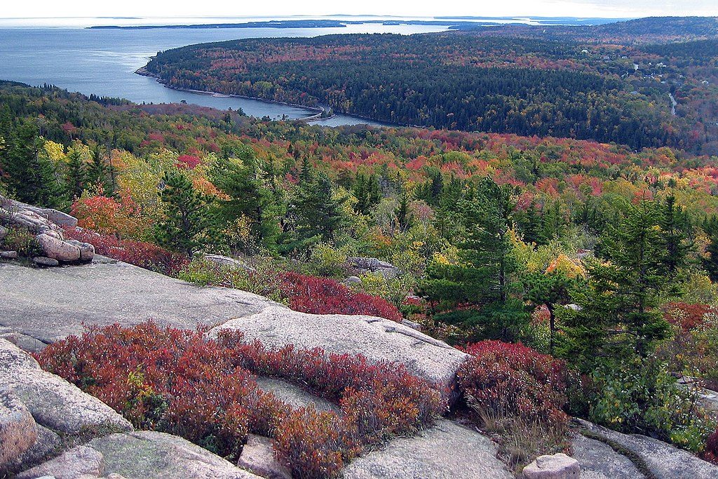 Gorham Mountain Trail, Acadia National Park