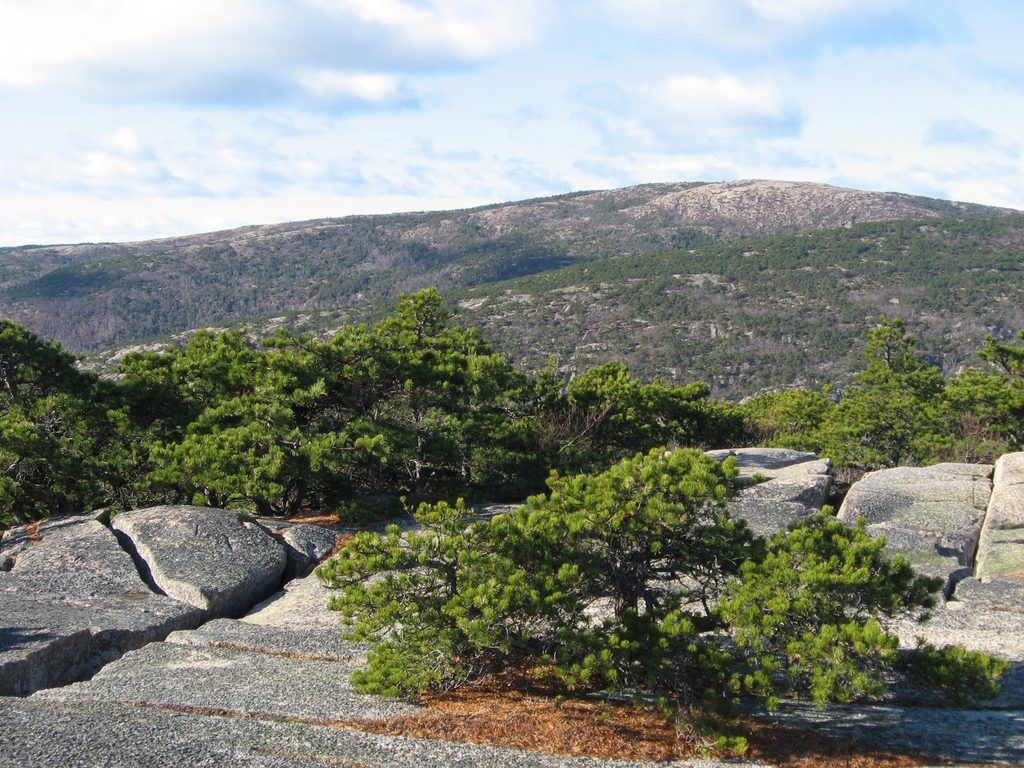 Cadillac Mountain West Face Trail, Acadia National Park