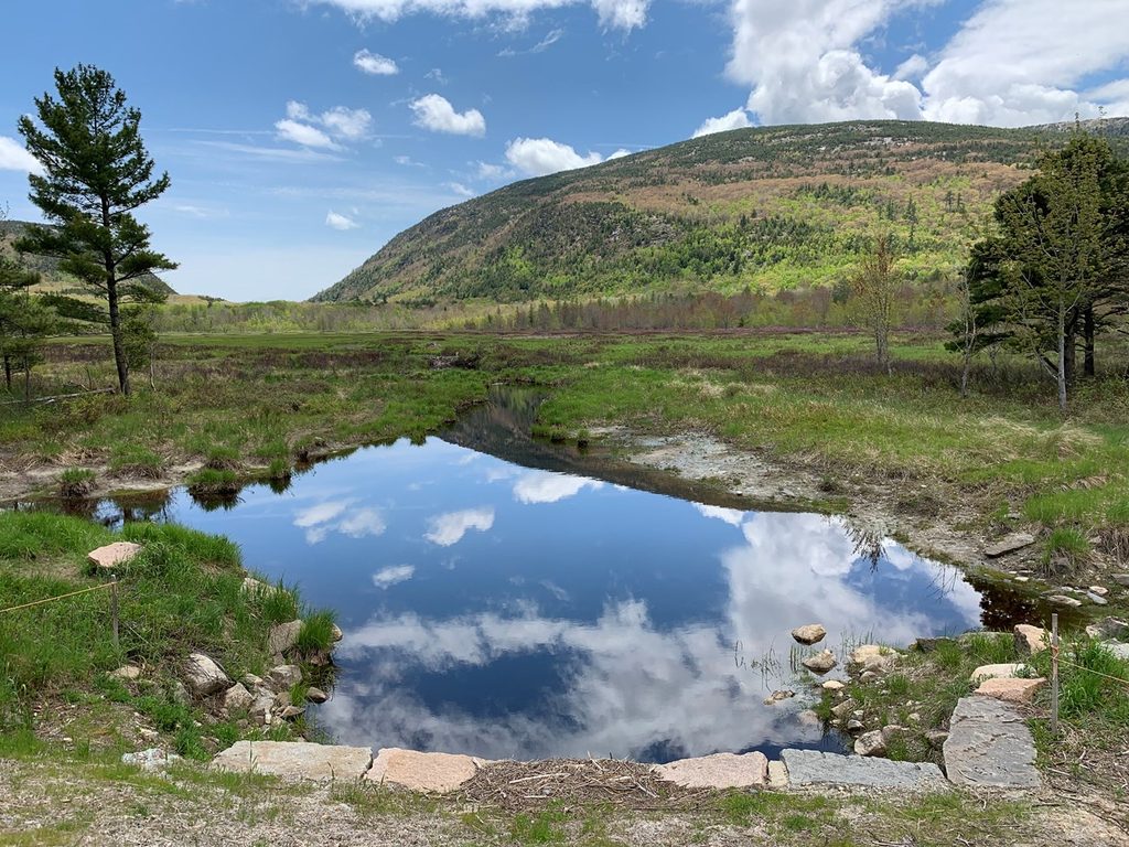 Great Meadow Loop, Acadia National Park