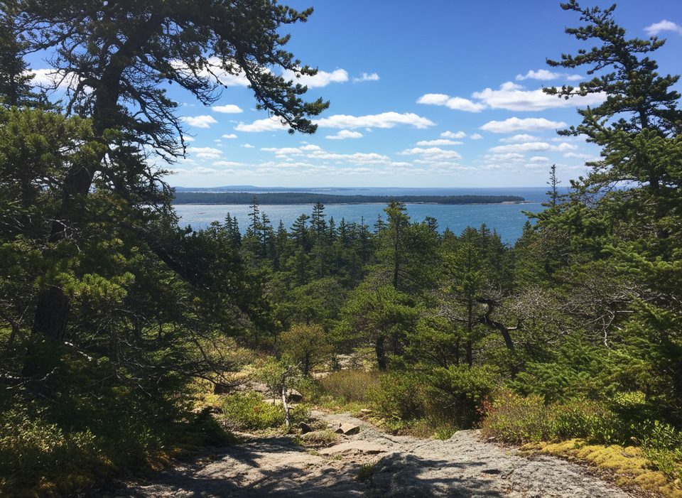 Buck Cove Mountain Trail, Acadia National Park