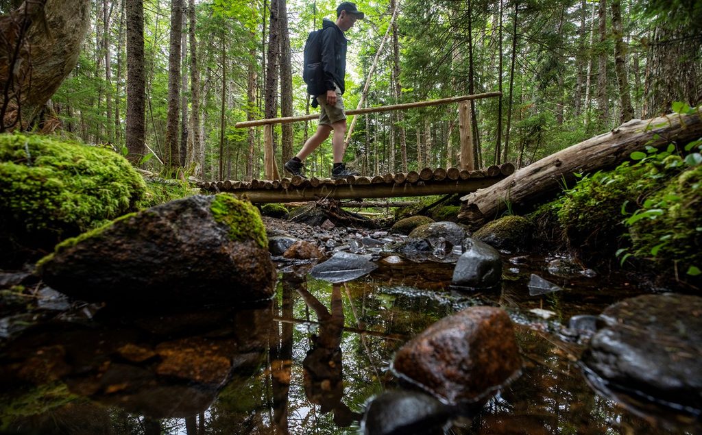 Lower Hadlock Trail, Acadia National Park
