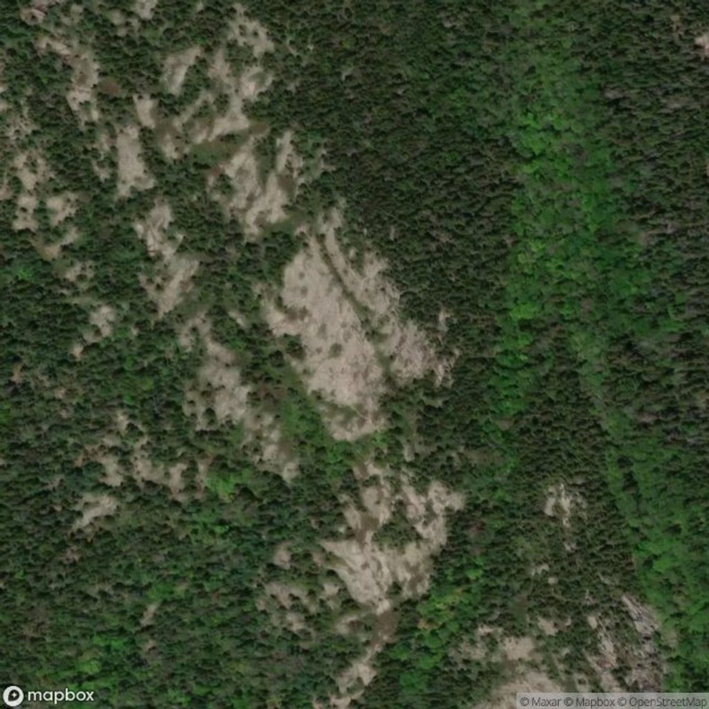 Grandgent Trail, Acadia National Park