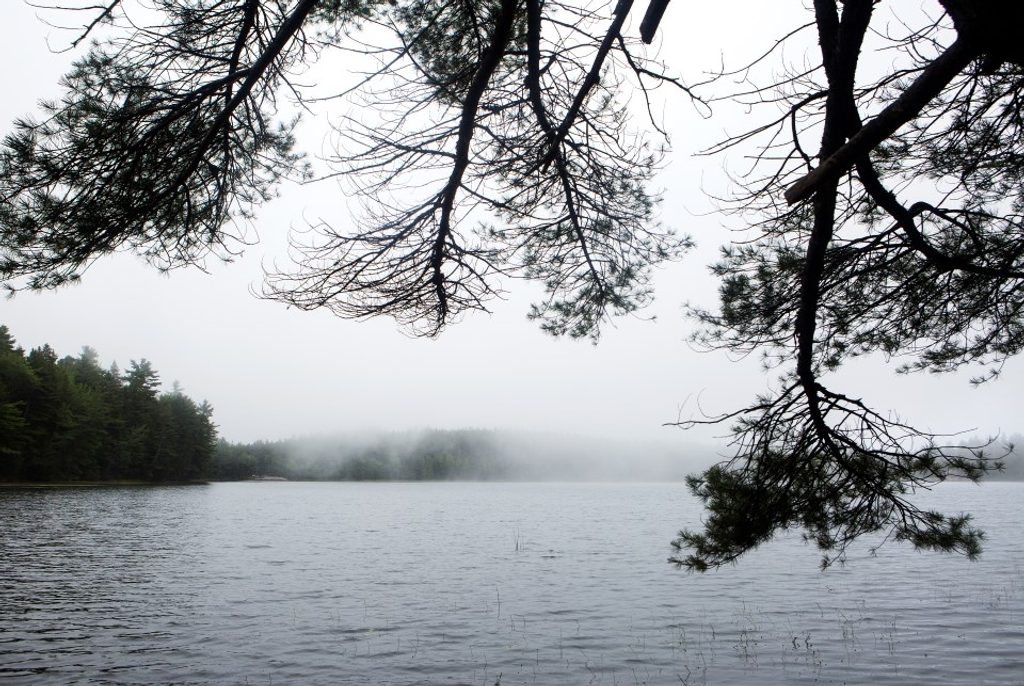 Lower Hadlock Pond Trail, Acadia National Park