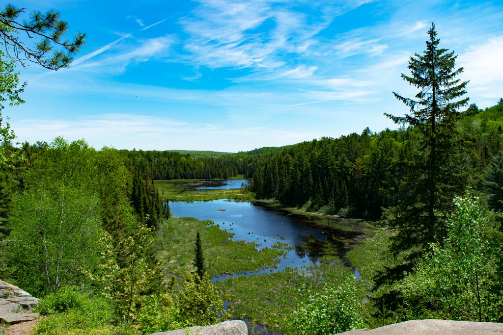 Beaver Pond Trail, Algonquin Provincial Park