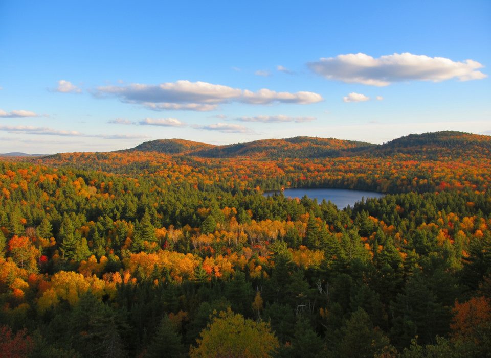 Bat Lake Trail, Algonquin Provincial Park