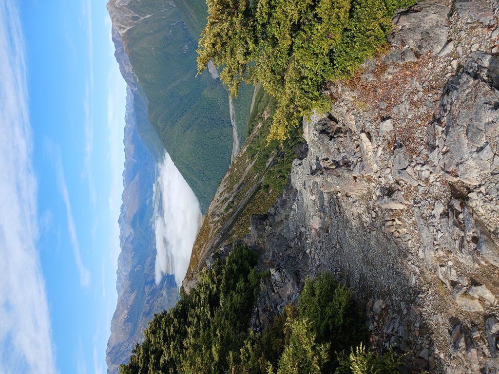Woolshed Hill Track, Arthur's Pass National Park