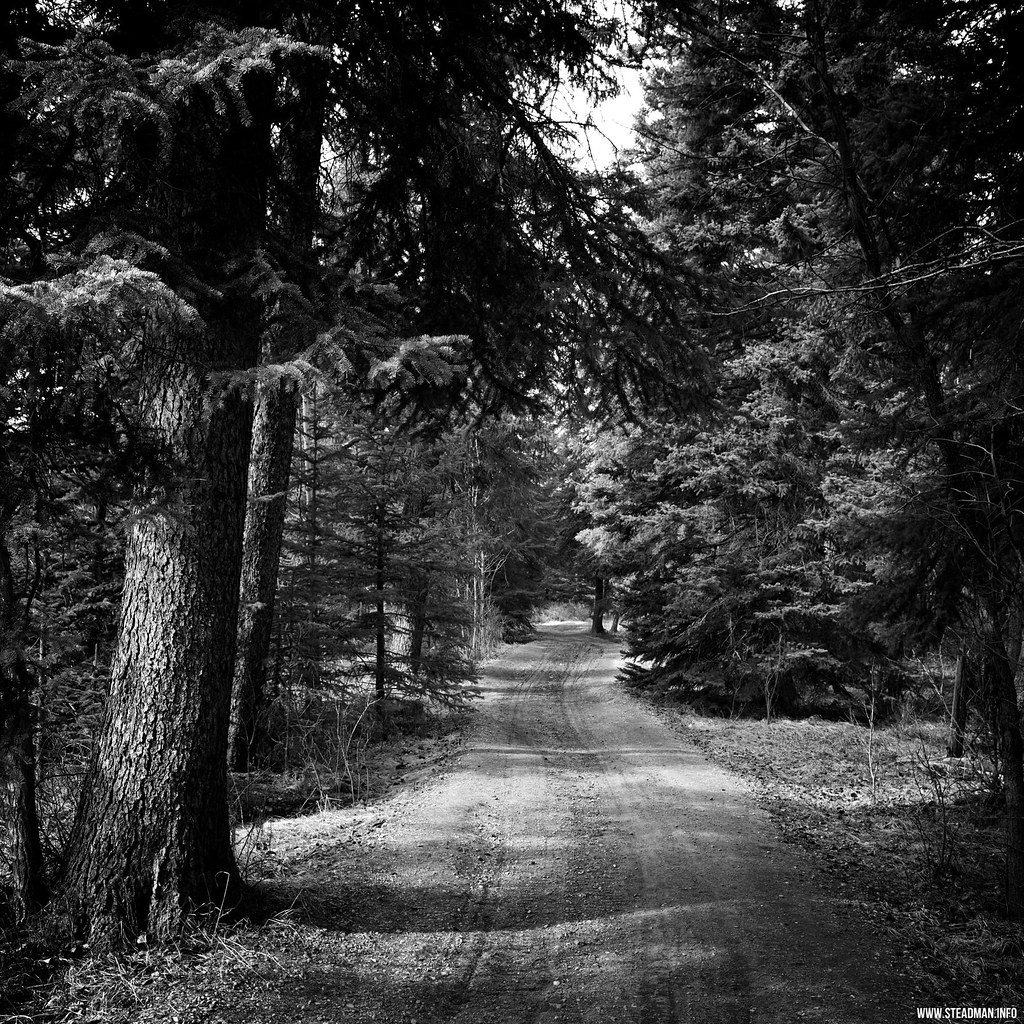 Marsh Loop, Banff National Park