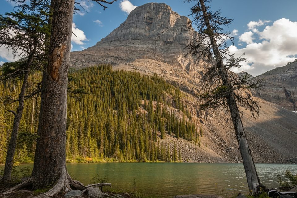 Ross Lake Trail, Banff National Park