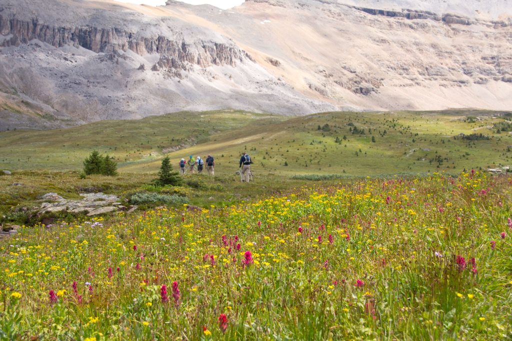North Molar Pass, Banff National Park