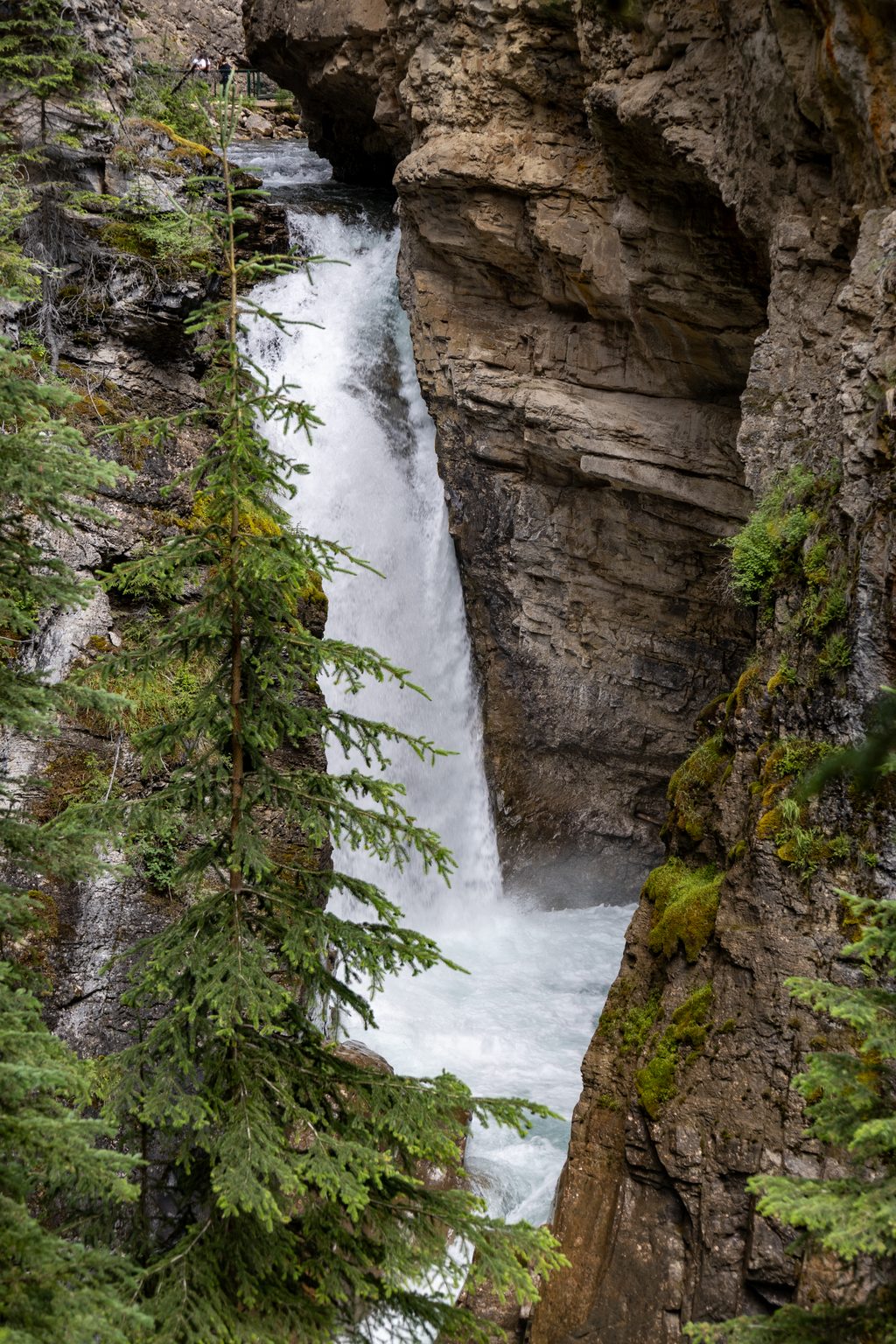 Johnston Canyon Lower Falls, Banff National Park