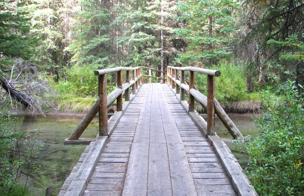 Fenland Trail, Banff National Park