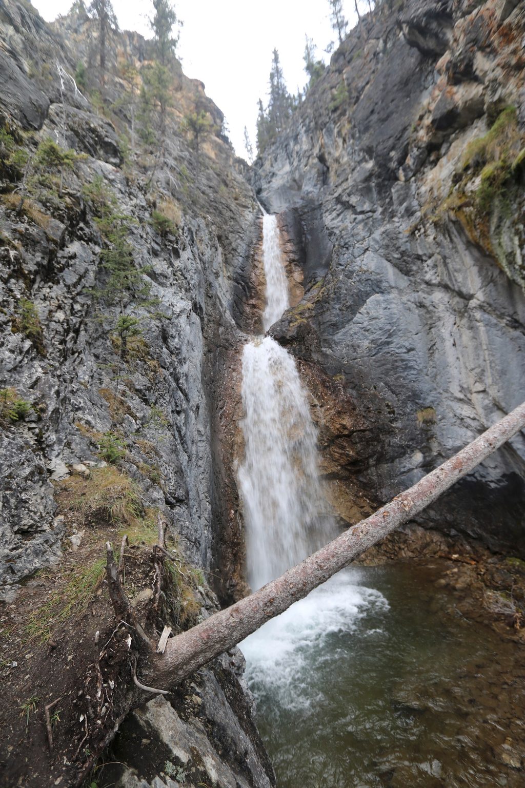 Silverton Falls Trail, Banff National Park
