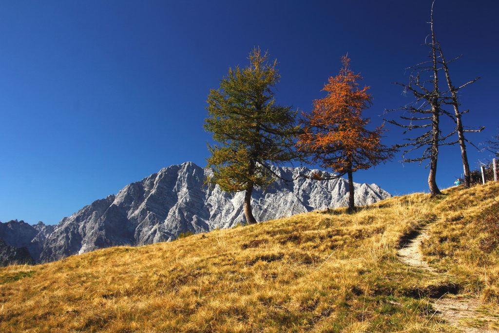 Gotzenalm, Berchtesgaden National Park