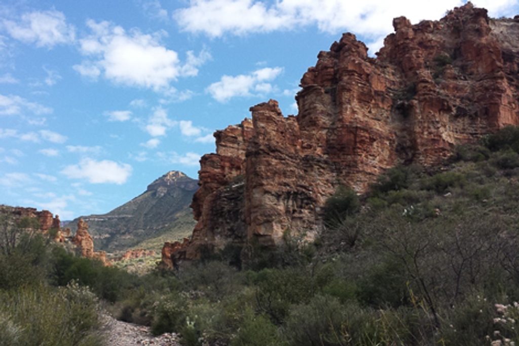 Blue Creek Trail, Big Bend National Park