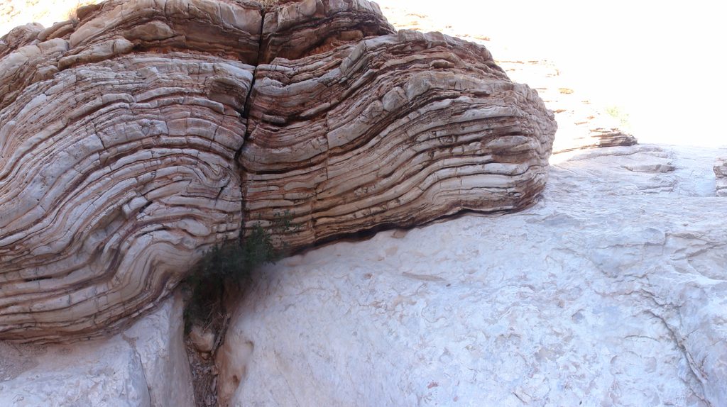 Ernst Tinaja Trail, Big Bend National Park