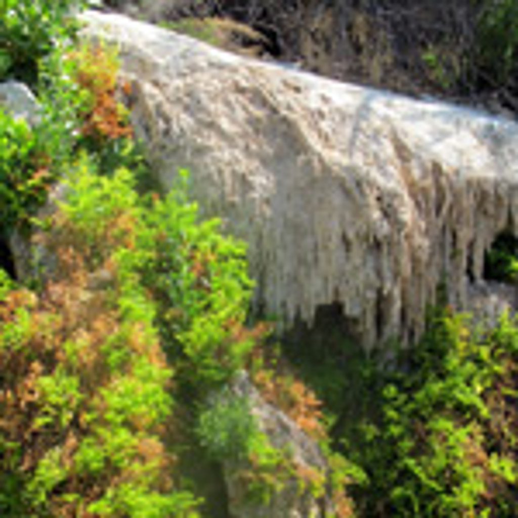 Mule Ears Spring Trail, Big Bend National Park