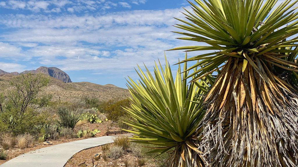 Panther Path, Big Bend National Park