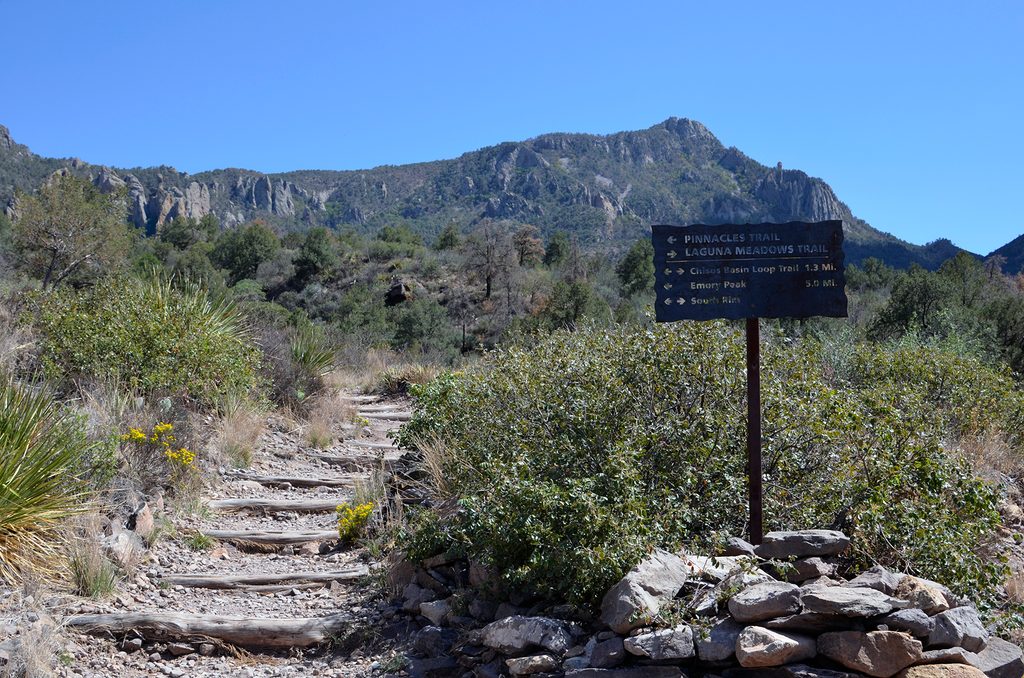 Chisos Basin Loop Trail, Big Bend National Park