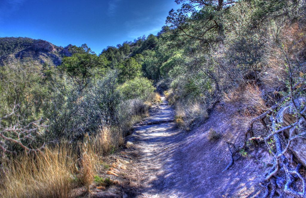 Lost Mine Trail, Big Bend National Park
