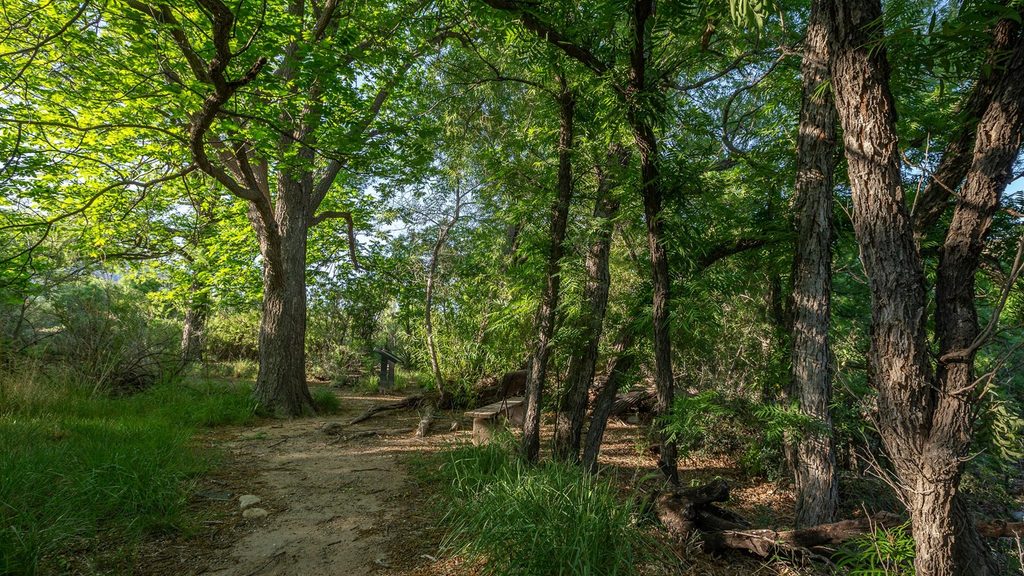 Sam Nail Ranch Trail, Big Bend National Park