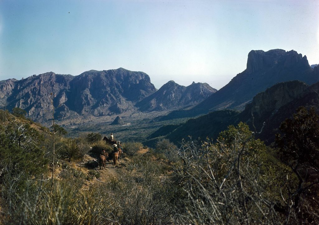 Laguna Meadows Trail, Big Bend National Park