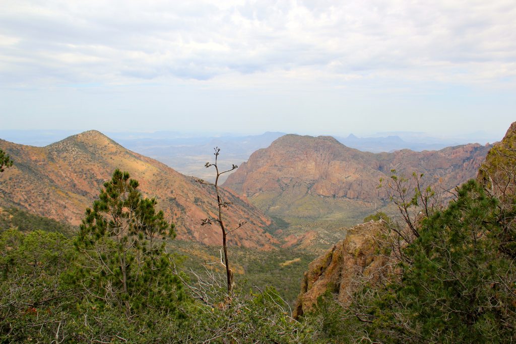 Pinnacles Trail, Big Bend National Park