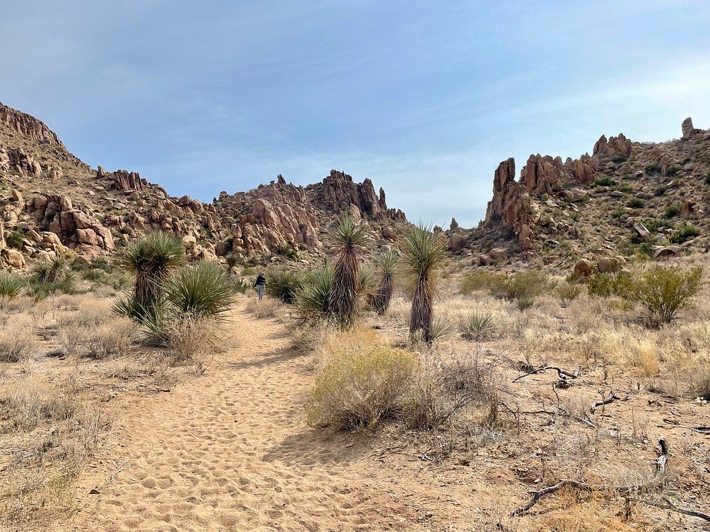 Grapevine Hills Trail, Big Bend National Park