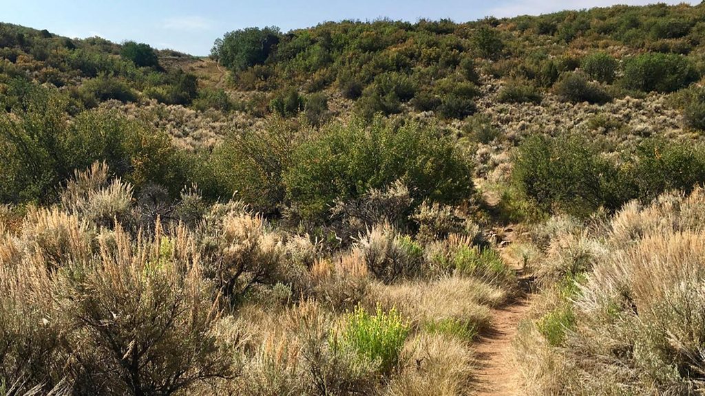 Deadhorse Trail, Black Canyon of the Gunnison National Park