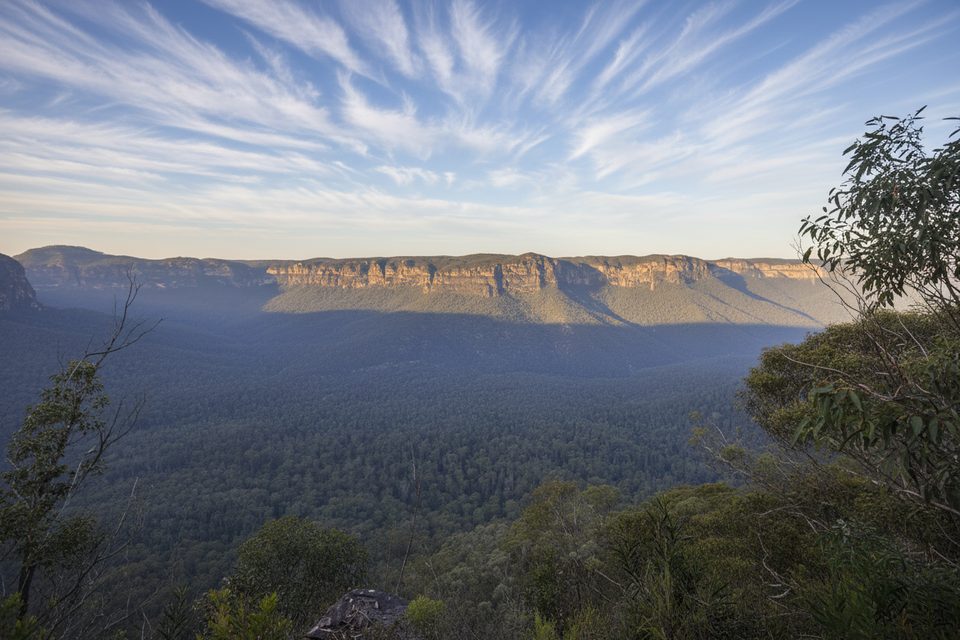 Perrys Lookdown to Blue Gum Forest, Blue Mountains National Park