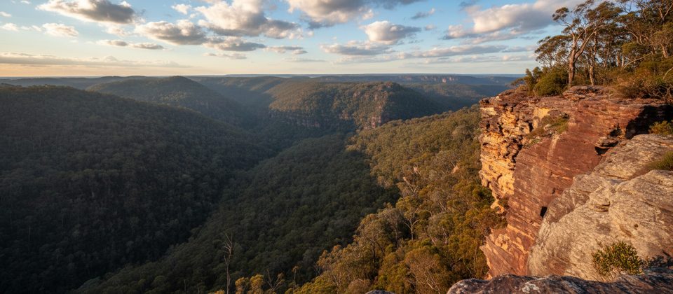 Martins Lookout Track, Blue Mountains National Park