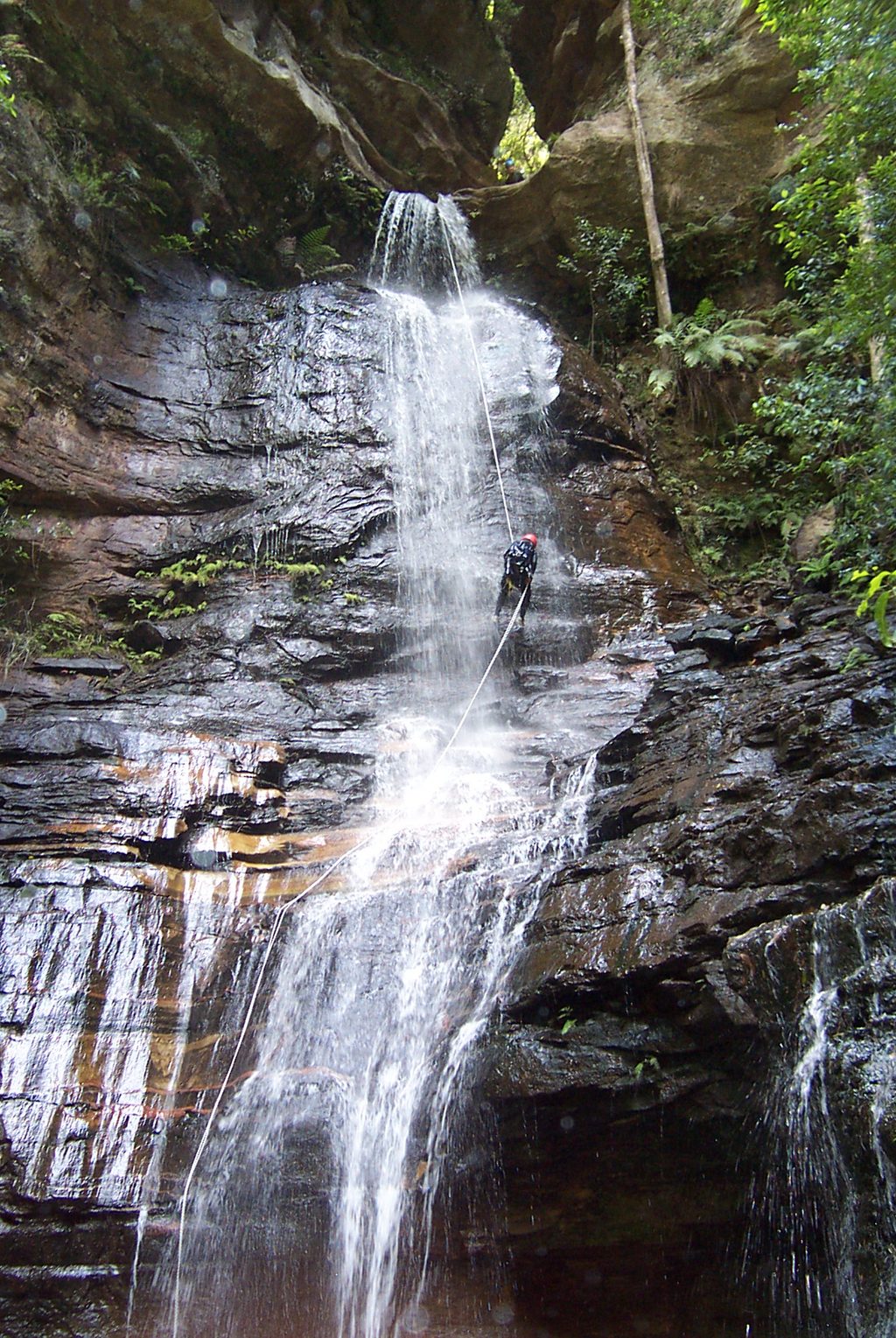 Valley of the Waters track, Blue Mountains National Park