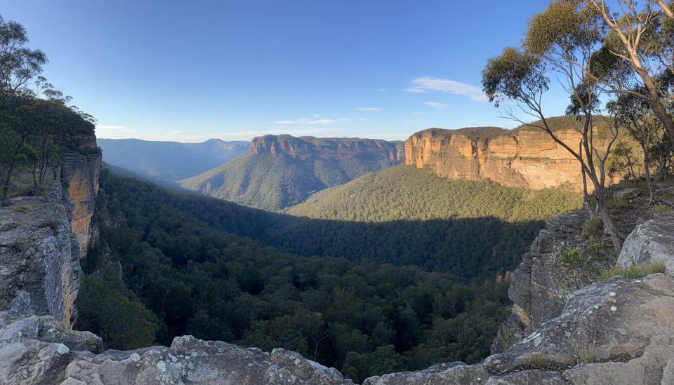 Horse Track, Blue Mountains National Park