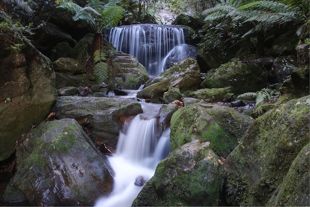 Leura Cascades round walk, Blue Mountains National Park