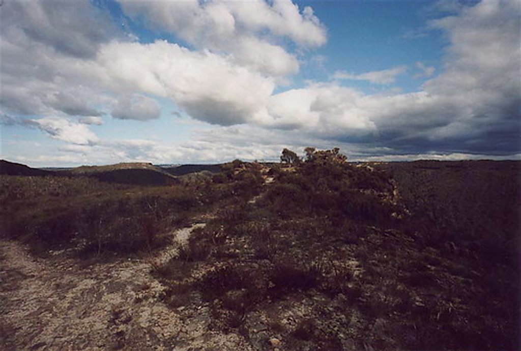 Lockleys Pylon Track, Blue Mountains National Park
