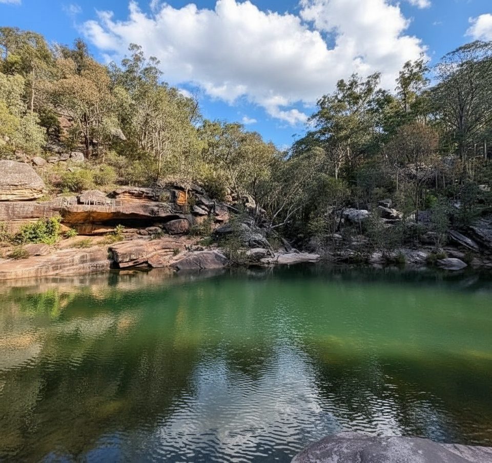 Jellybean Walking Track, Blue Mountains National Park