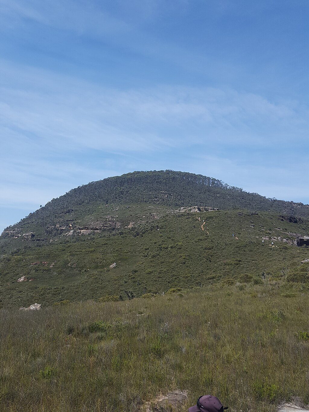 Mount Banks Summit Walk, Blue Mountains National Park