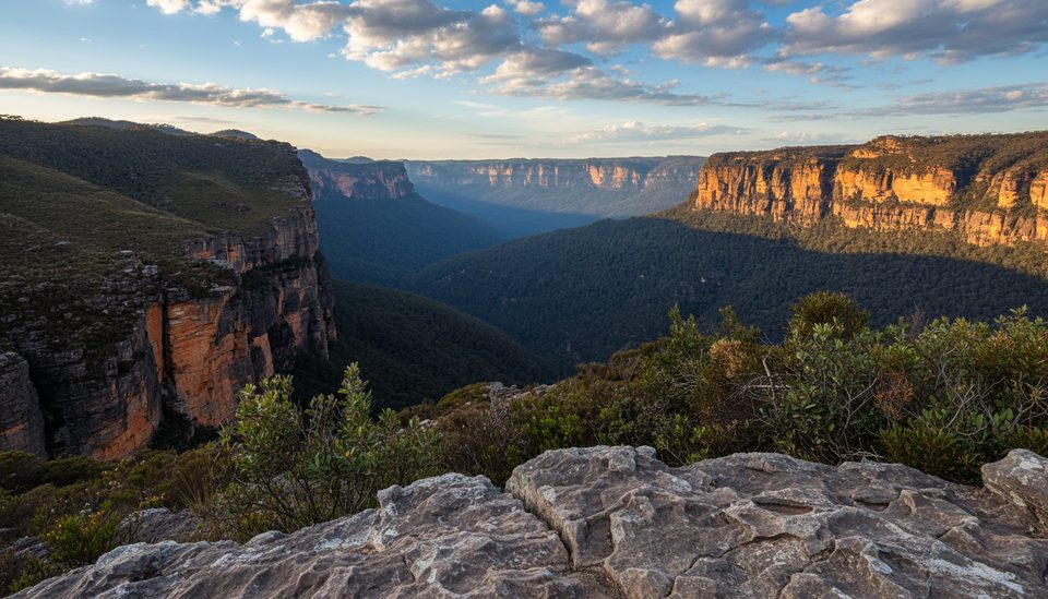 Rigby Hill Track, Blue Mountains National Park