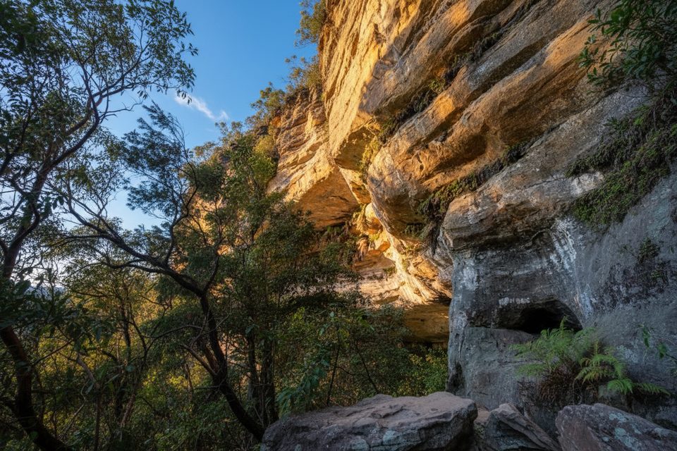 Walls Cave Track, Blue Mountains National Park