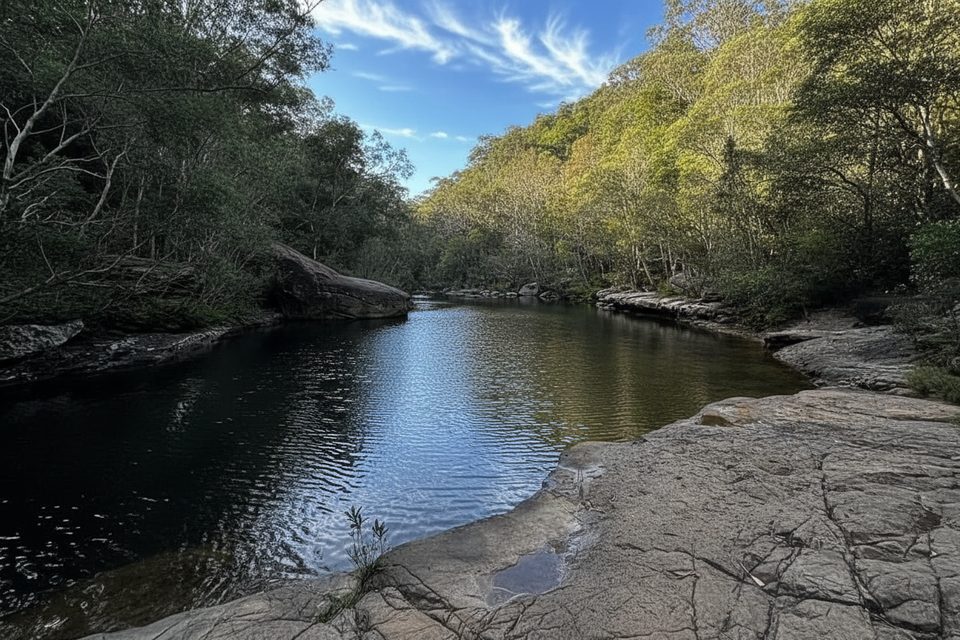 Magdala Gully Track, Blue Mountains National Park
