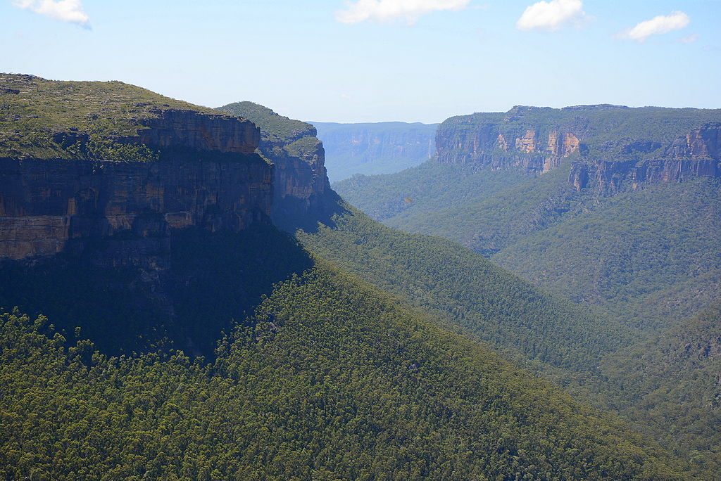 Asgard Swamp and Thor Head Track, Blue Mountains National Park