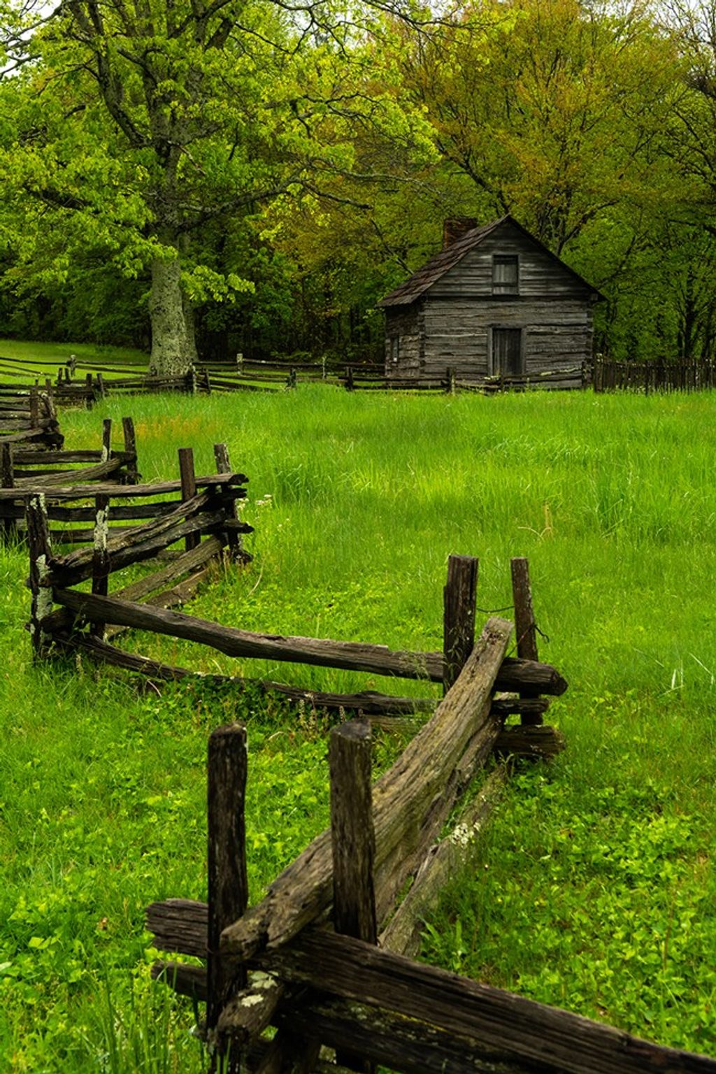 Puckett Cabin Trail, Blue Ridge Parkway