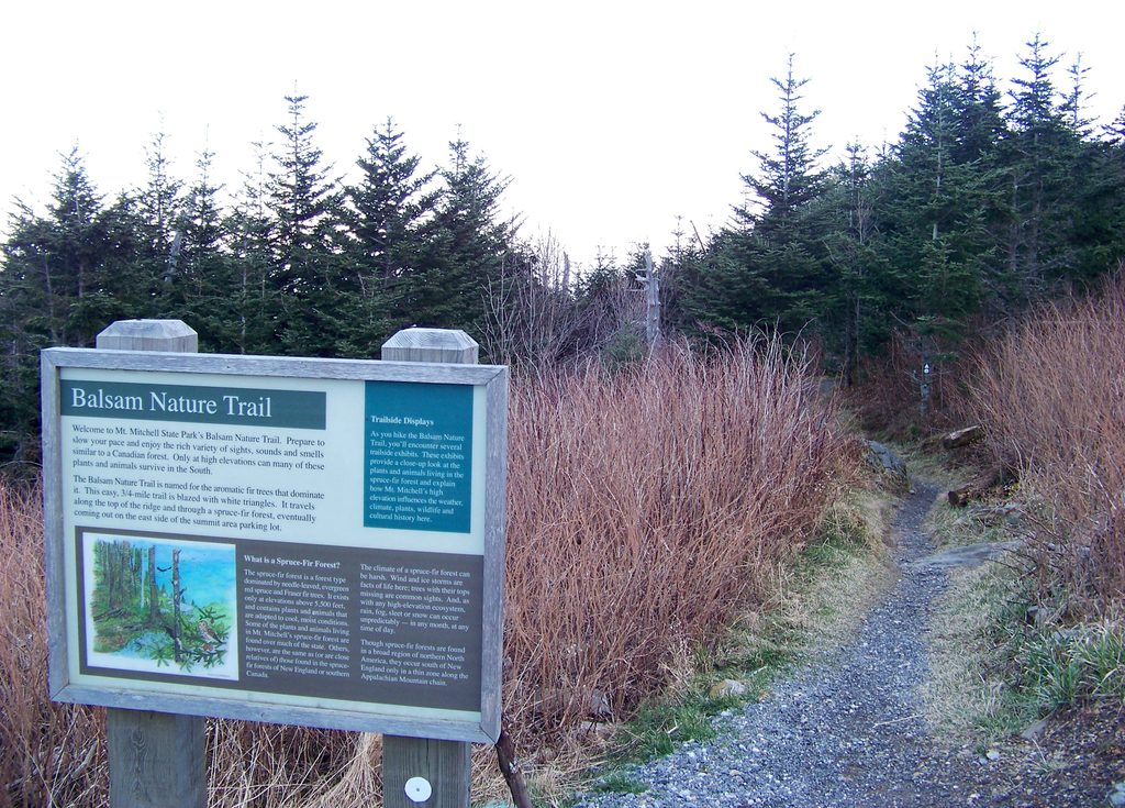 Balsam Nature Trail (Mount Mitchell), Blue Ridge Parkway