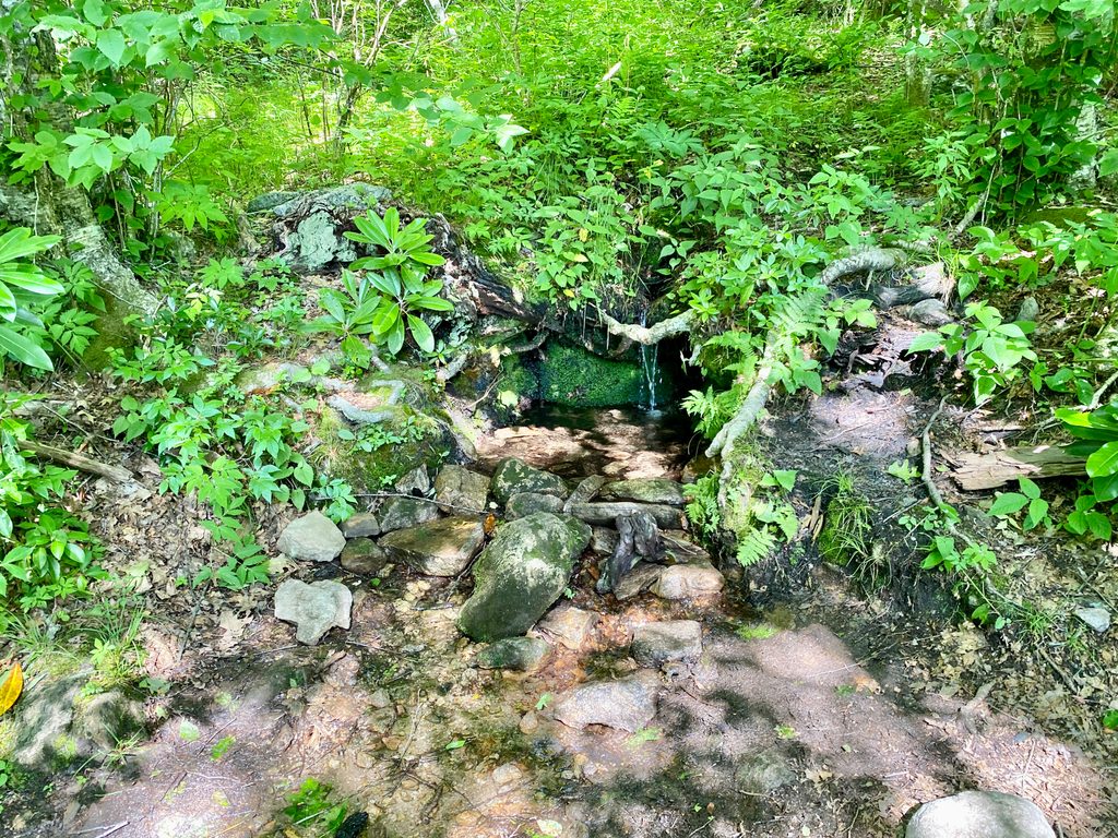 Mount Pisgah Trail, Blue Ridge Parkway