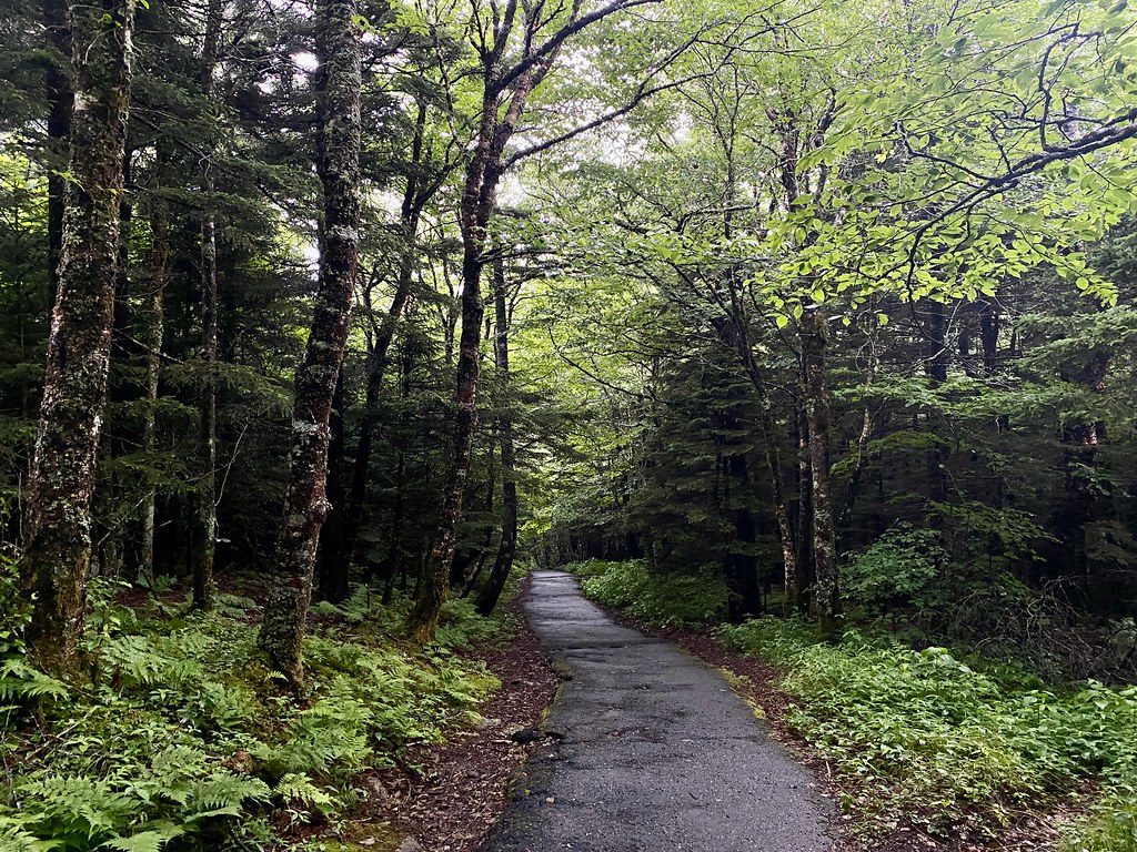 Devil's Courthouse Trail, Blue Ridge Parkway