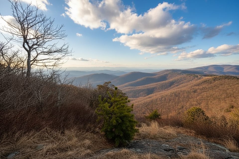Grassy Gap Fire Road, Blue Ridge Parkway