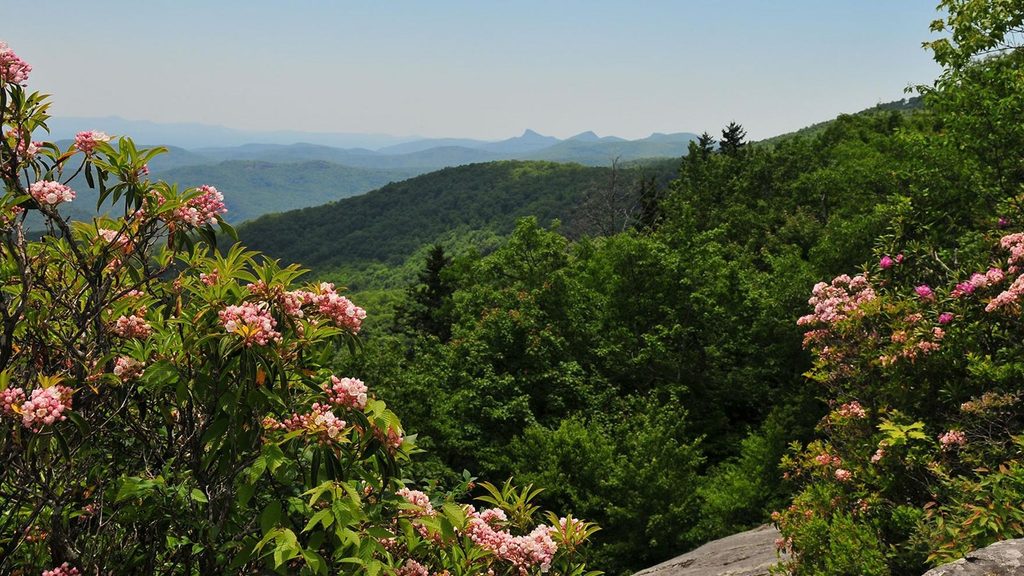 Beacon Heights Trail, Blue Ridge Parkway