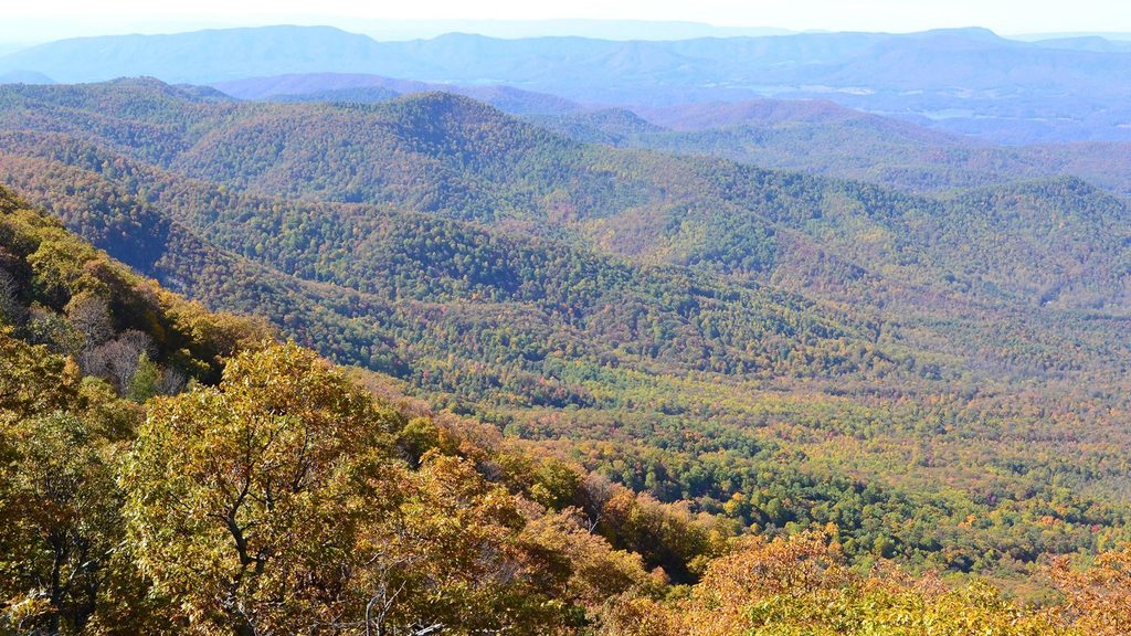 Thunder Ridge Nature Trail, Blue Ridge Parkway