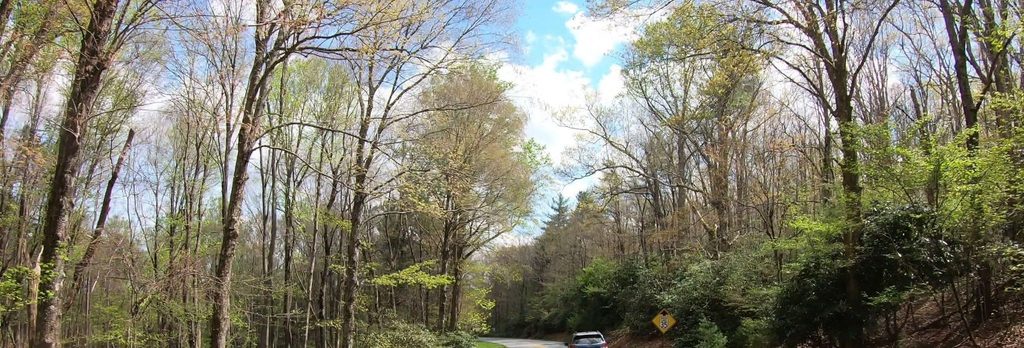 Gully Creek Trail, Blue Ridge Parkway