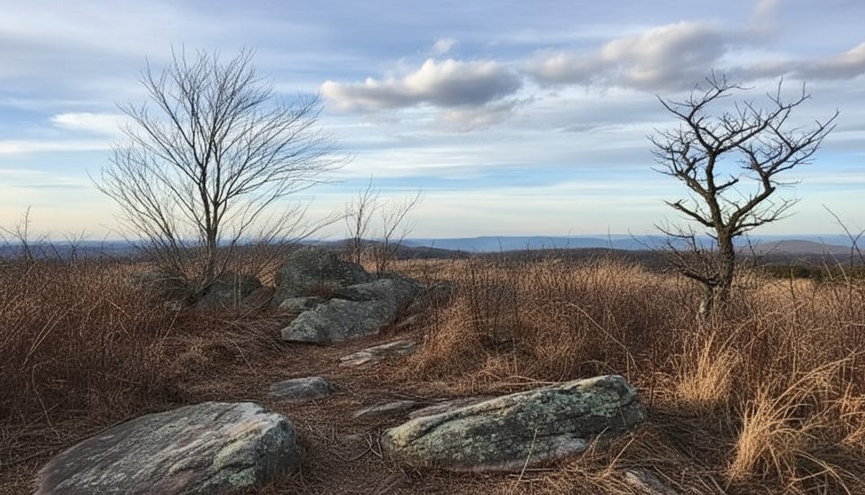 Black Ridge Trail, Blue Ridge Parkway